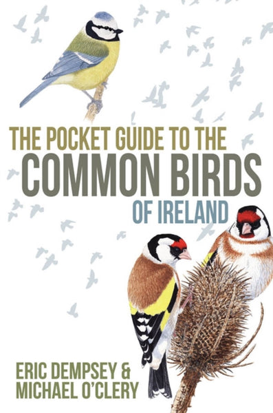 The Pocket Guide to the Common Birds of Ireland-9780717151097