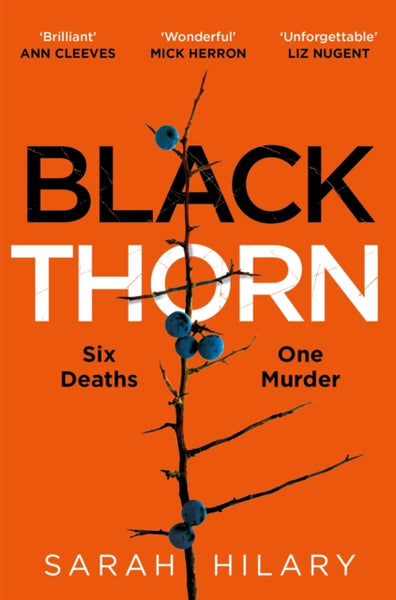 Black Thorn : A slow-burning, multi-layered mystery about families and their secrets and lies-9781035004317