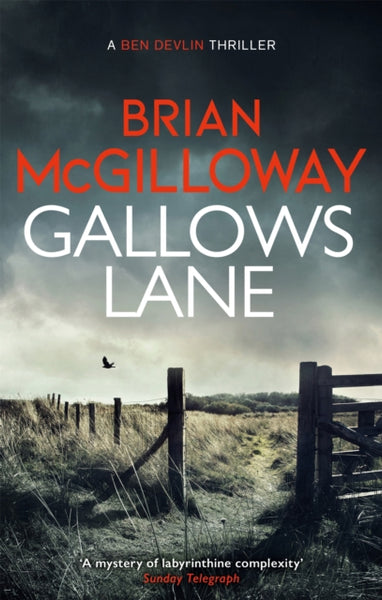 Gallows Lane : An ex con and drug violence collide in the borderlands of Ireland...-9781472133328