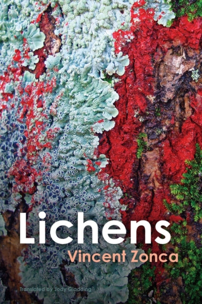Lichens : Toward a Minimal Resistance-9781509553457