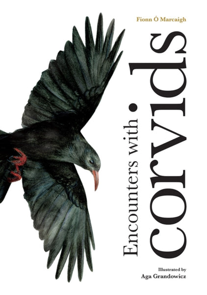 Encounters with corvids-9781739813321