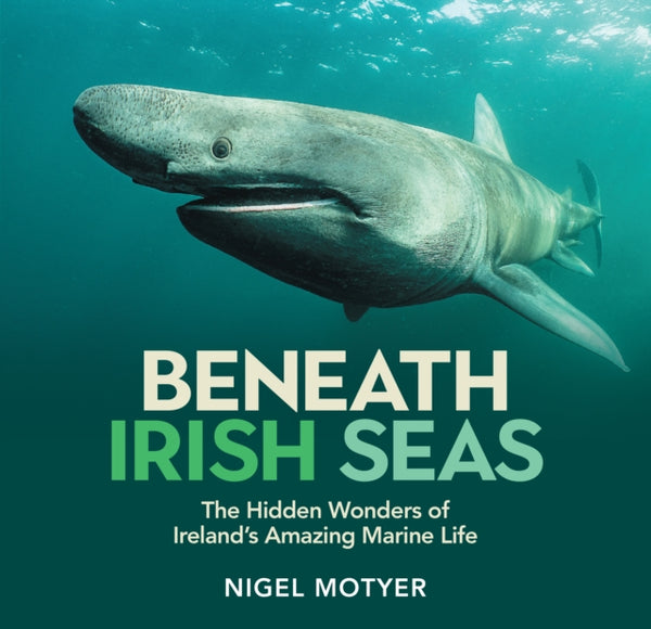 Beneath Irish Seas : The Hidden Wonders of Ireland’s Amazing Marine Life-9781785375705