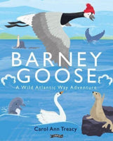 Barney Goose : A Wild Atlantic Way Adventure-9781788494823