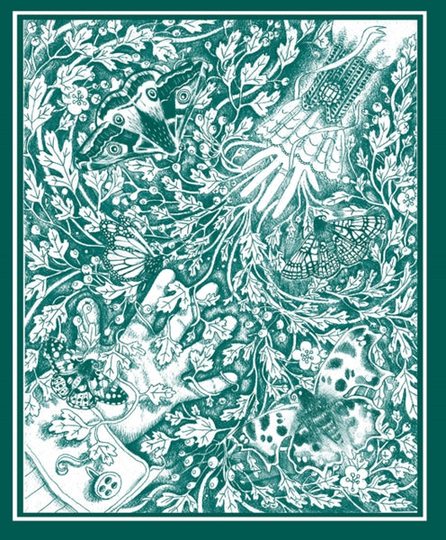 The Stolen Child-9781788495172