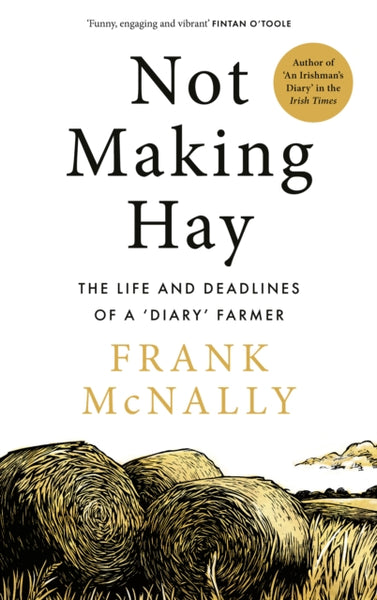 Not Making Hay-9781804583197