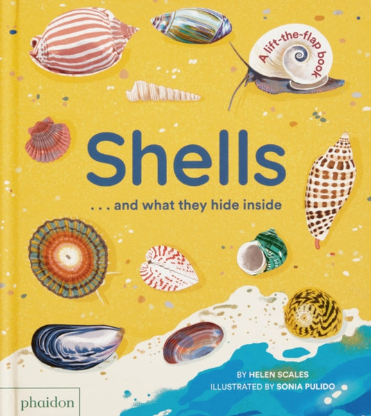 Shells... and what they hide inside : A Lift-the-Flap Adventure-9781838667887