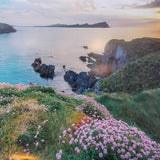 The Dingle Peninsula Calendar 2026