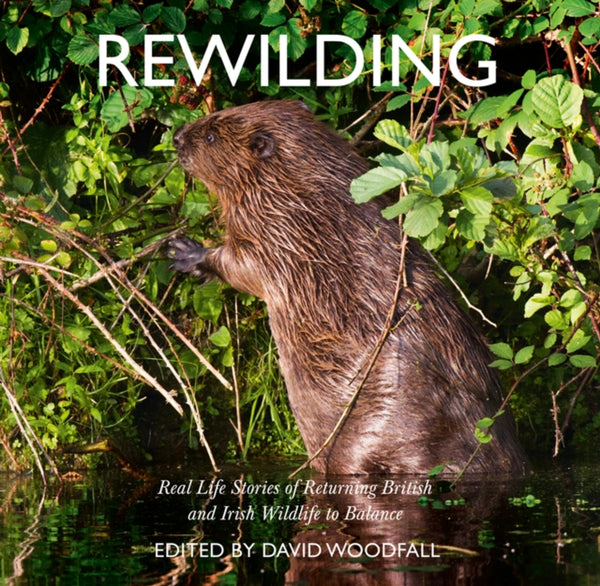 Rewilding : Real Life Stories of Returning British and Irish Wildlife to Balance-9780008300470