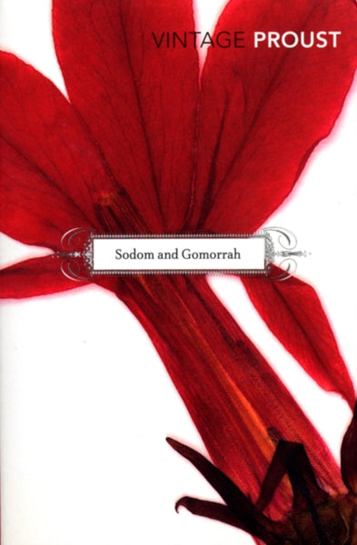 In Search of Lost Time, Vol 4 : Sodom and Gomorrah-9780099362517