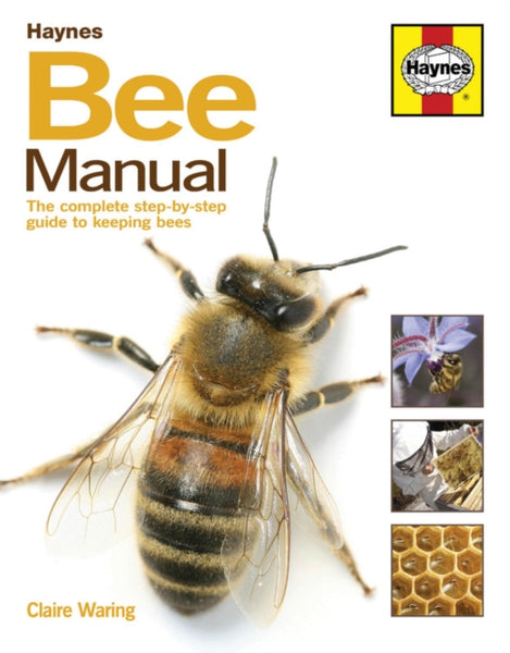 Bee Manual : The complete step-by-step guide to keeping bees-9780857338099