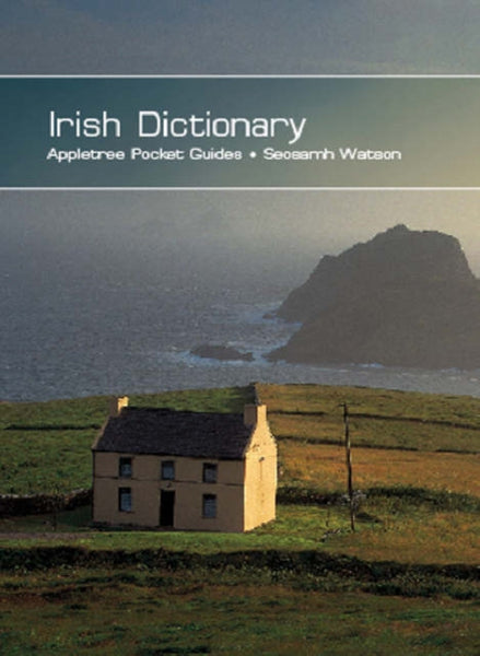 Irish Dictionary-9780862819590