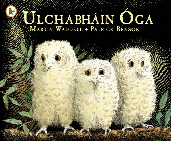 Ulchabhain Oga (Owl Babies)-9781406341126