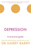 Depression : A practical guide-9781409174493