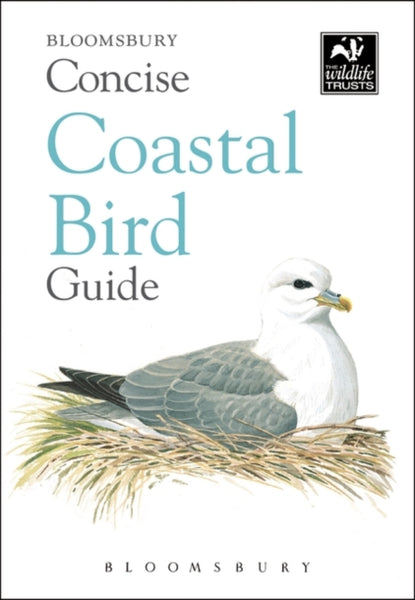 Concise Coastal Bird Guide-9781472963819