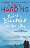 What is Beautiful in the Sky : A book about endings and beginnings-9781473691018