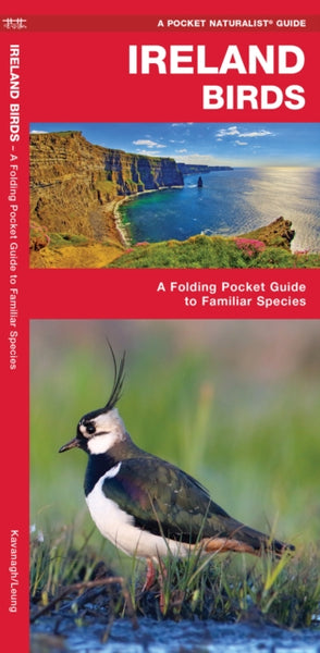 Ireland Birds, 2nd Edition : A Folding Pocket Guide to Familiar Species-9781620053539