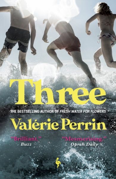Three : From the bestselling author of Fresh Water for Flowers-9781787704633