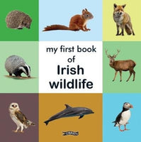 My First Book of Irish Wildlife-9781788491655
