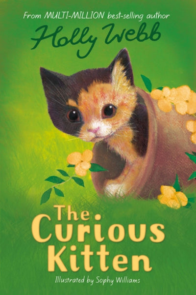 The Curious Kitten : 34-9781847156617