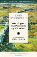 Walking on the Pastures of Wonder : In Conversation with  John Quinn-9781847307675