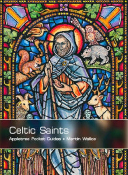 Celtic Saints-9781847580054