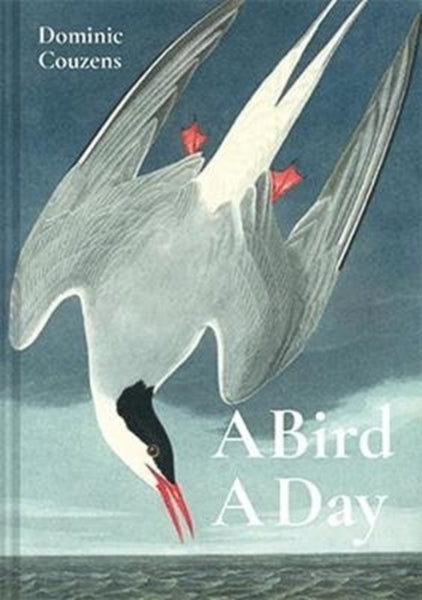 A Bird A Day-9781849945868