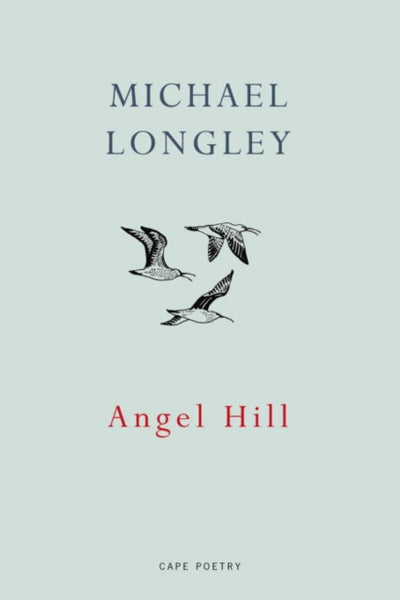 Angel Hill-9781911214083