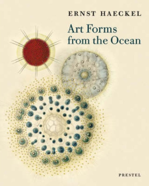 Art Forms from the Ocean : The Radiolarian Prints of Ernst Haeckel-9783791333274